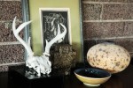 Collectibles and unique art pieces Collectibles and unique art pieces